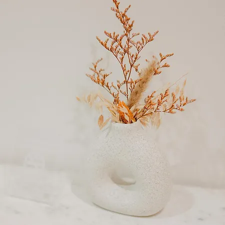 Διαμέρισμα La Perle Du Suquet, Zone Pietonne *